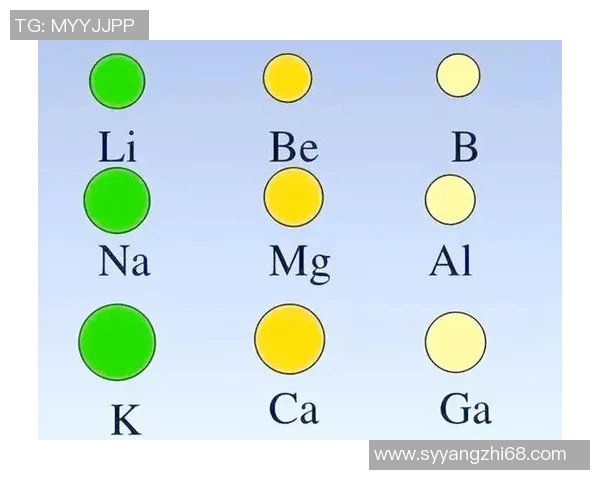 广州排球队在大师赛中的速度表现分析与未来展望