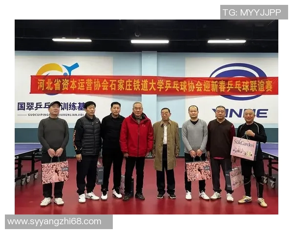 聚焦乒乓球：南京乒乓球队的团队协作话题